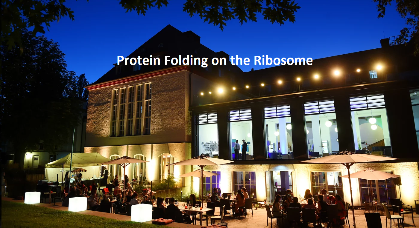 Conference: Protein Folding on the Ribosome